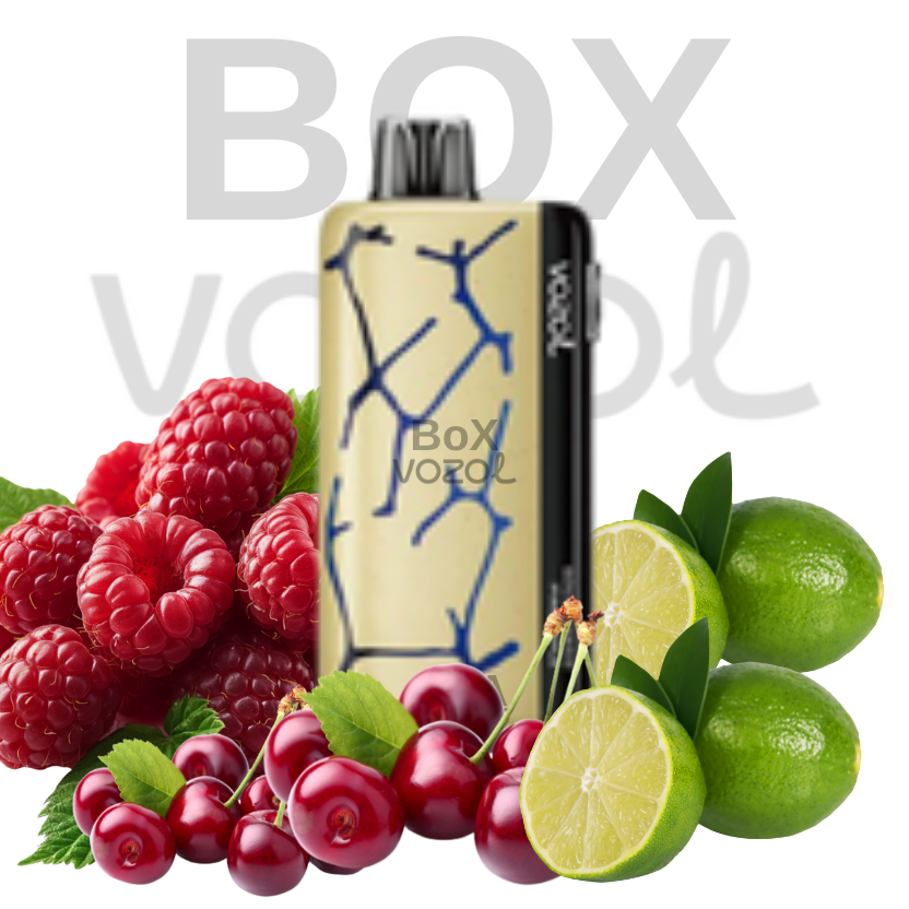 Vozol 45000 Puff - Berry Cherry Lime - Neon