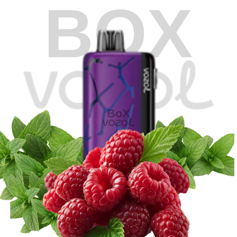 Vozol 45000 Puff - Berry Mint - Neon