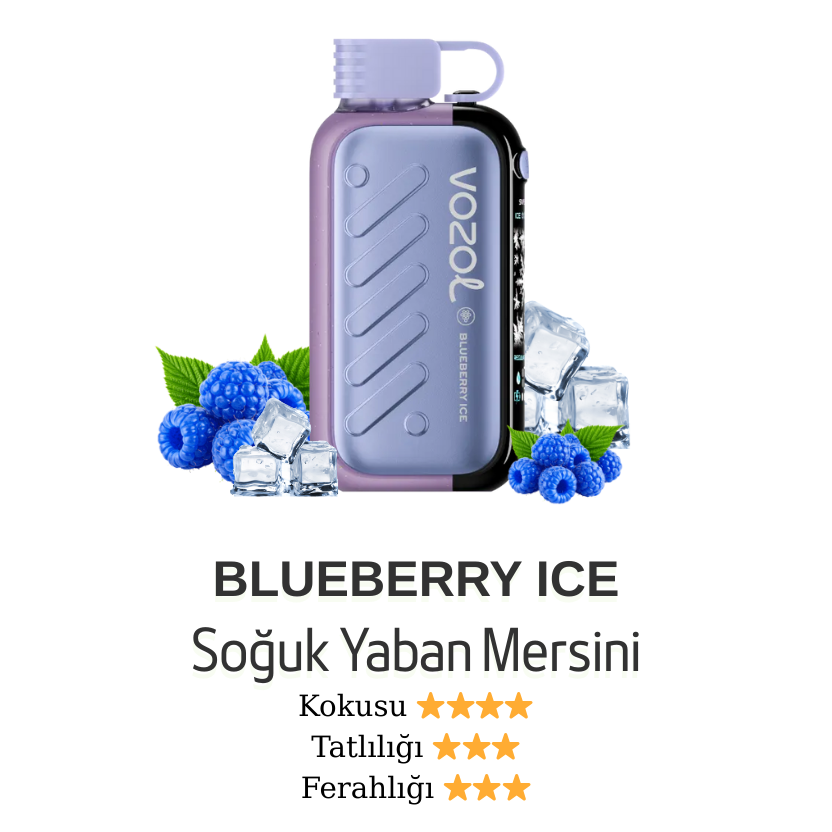 Vozol Gear 50000 - Blueberry Ice