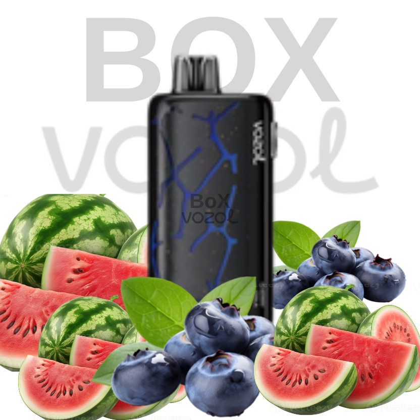 Vozol 45000 Puff - Blueberry Watermelon - Neon