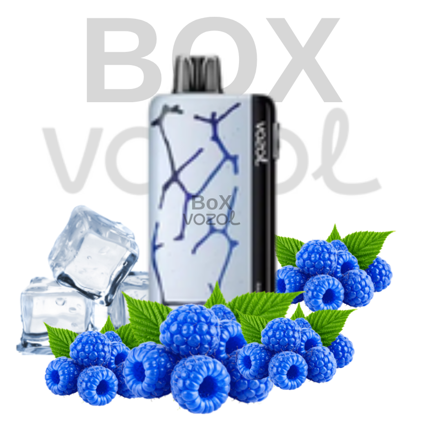 Vozol 45000 Puff - Blue Razz Ice - Neon
