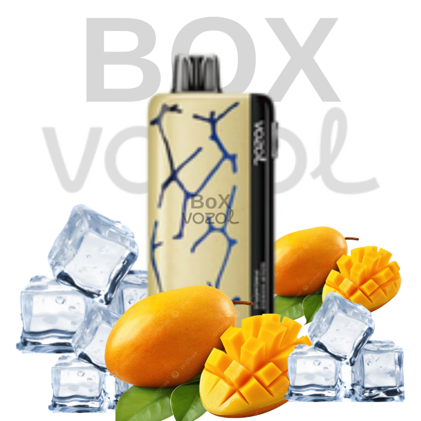 Vozol 45000 Puff - Mango Ice - Neon