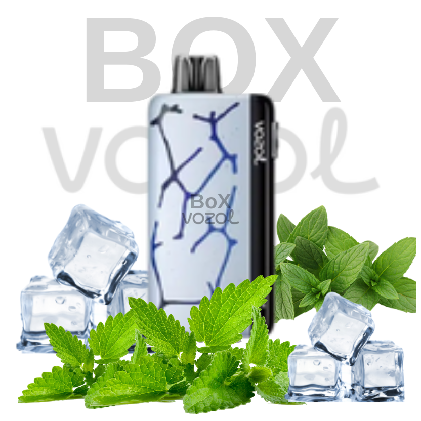Vozol 45000 Puff - Miami Mint - Neon