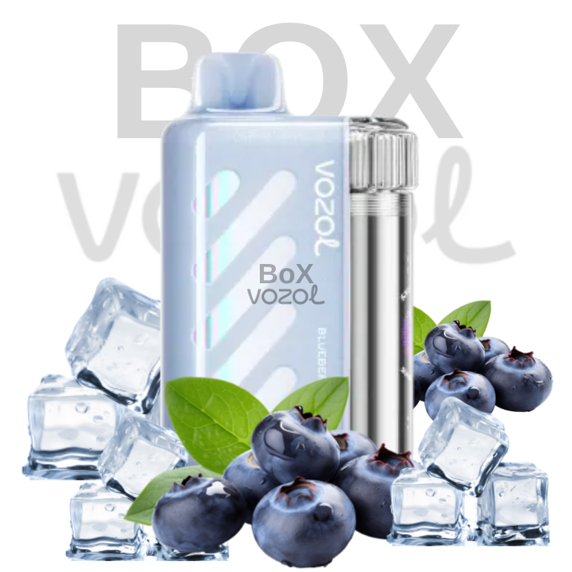 Vozol 40000 Puff - Blueberry Ice - Vista