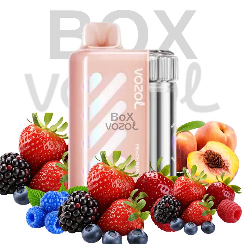 Vozol 40000 Puff - Peach Berry - Vista