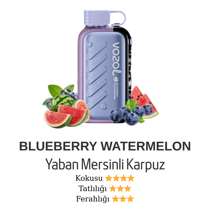 Vozol Gear 50000 - Blueberry Watermelon