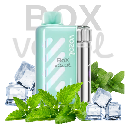 Vozol 40000 Puff - Cool Mint - Vista