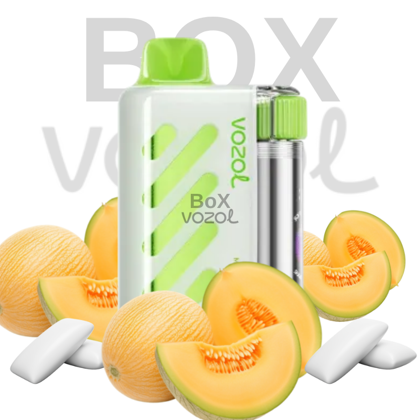 Vozol 40000 Puff - Melon Gum - Vista