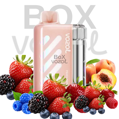 Vozol 40000 Puff - Peach Berry - Vista