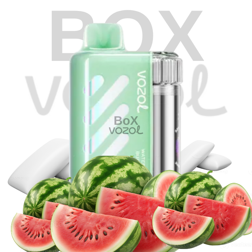 Vozol 40000 Puff - Watermelon Bubble Gum - Vista